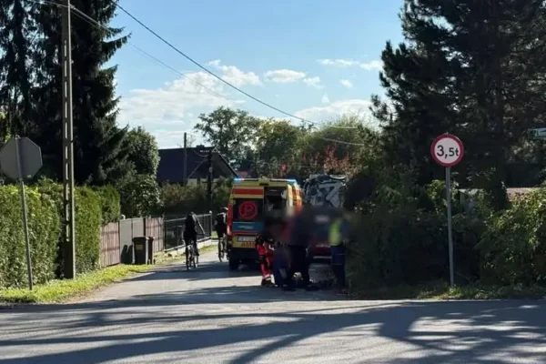 Potrącenie pieszego na ul. Weneckiej w Czechowicach-Dziedzicach