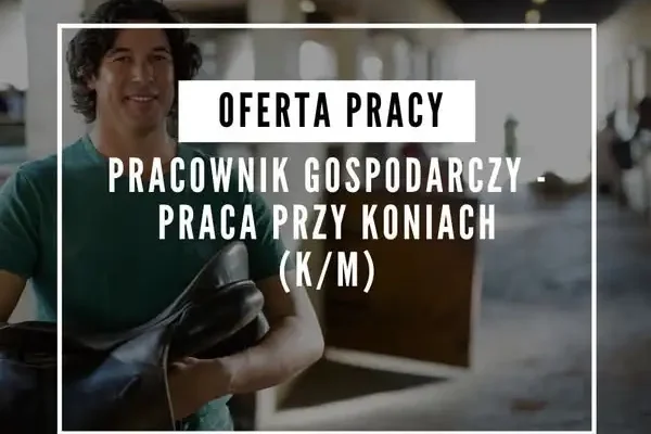 Praca przy koniach w gabinecie weterynaryjnym MEGAVET – nowa oferta