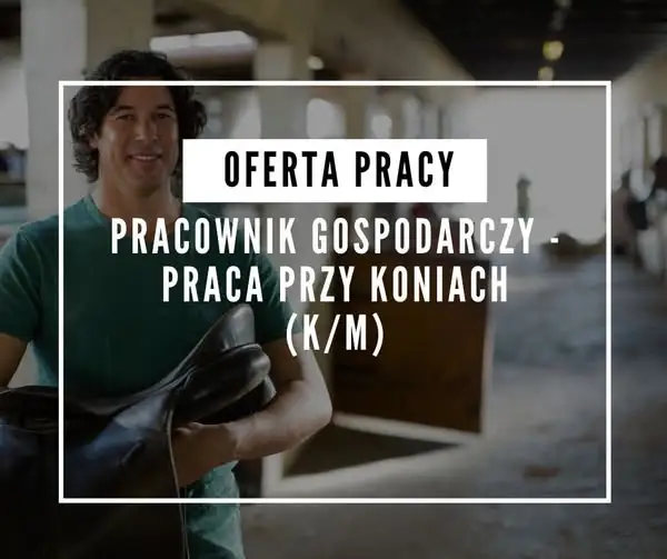 Praca przy koniach w gabinecie weterynaryjnym MEGAVET – nowa oferta
