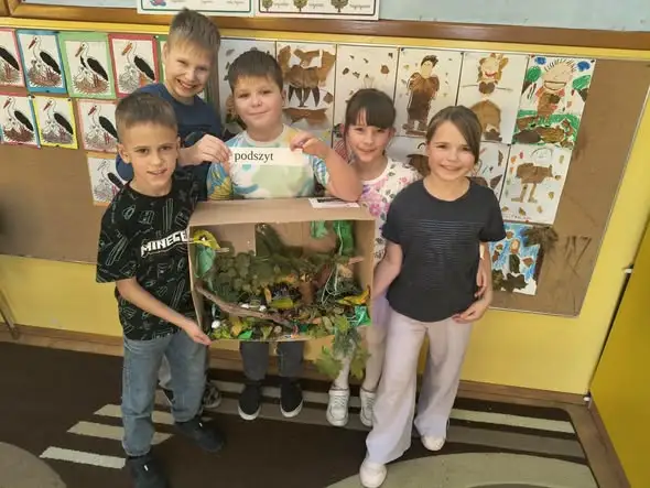 Klasa 3C z SP1 Kozy stworzyła makiety warstw lasu