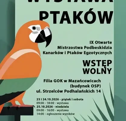Wystawa kanarków i ptaków egzotycznych w Mazańcowicach – ostatni dzień w niedzielę