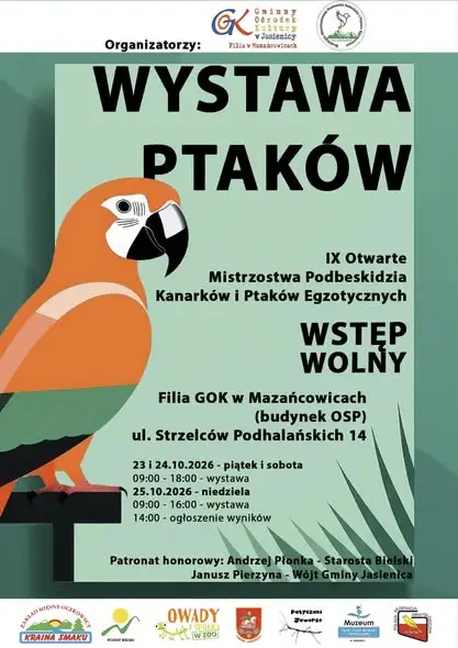 Wystawa kanarków i ptaków egzotycznych w Mazańcowicach – ostatni dzień w niedzielę